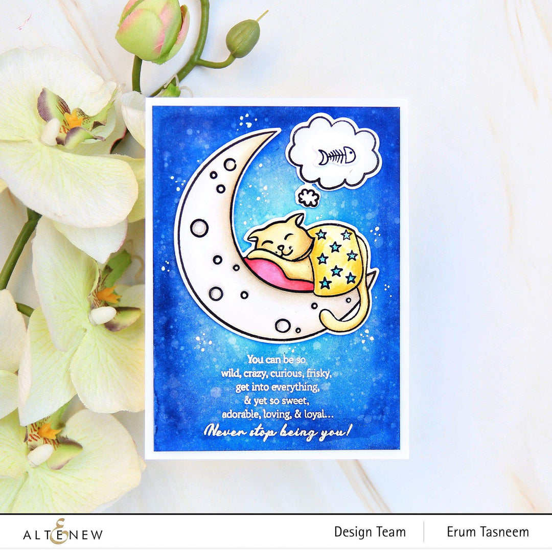 Stamp & Die & Stencil Bundle Dreamy Cat