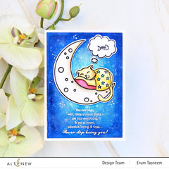 Stamp & Die & Stencil Bundle Dreamy Cat