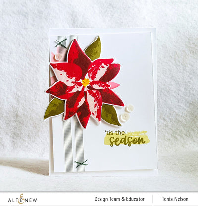 Stamp & Die & Stencil Bundle Dry Brush Poinsettia