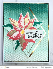 Stamp & Die & Stencil Bundle Dry Brush Poinsettia