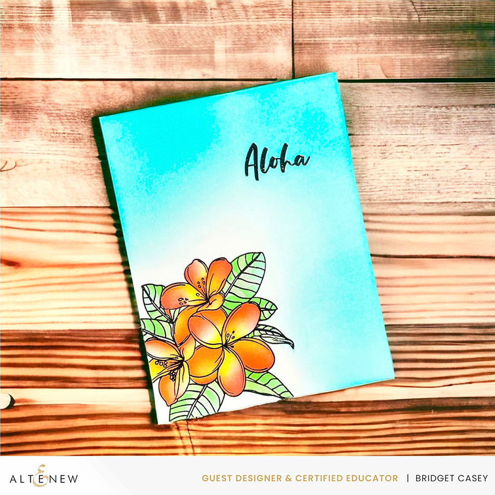 Stamp & Die & Stencil Bundle Exotic Plumerias