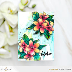 Stamp & Die & Stencil Bundle Exotic Plumerias