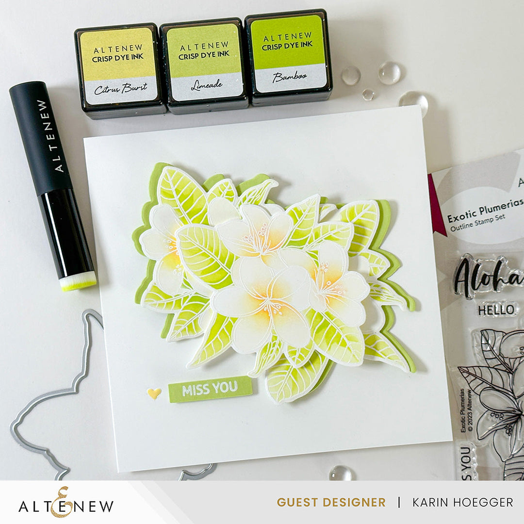 Stamp & Die & Stencil Bundle Exotic Plumerias