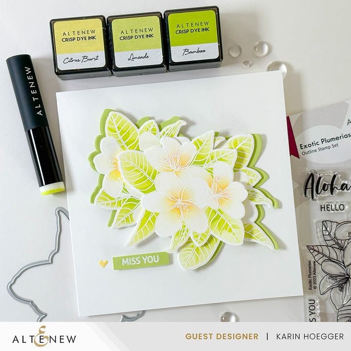 Stamp & Die & Stencil Bundle Exotic Plumerias