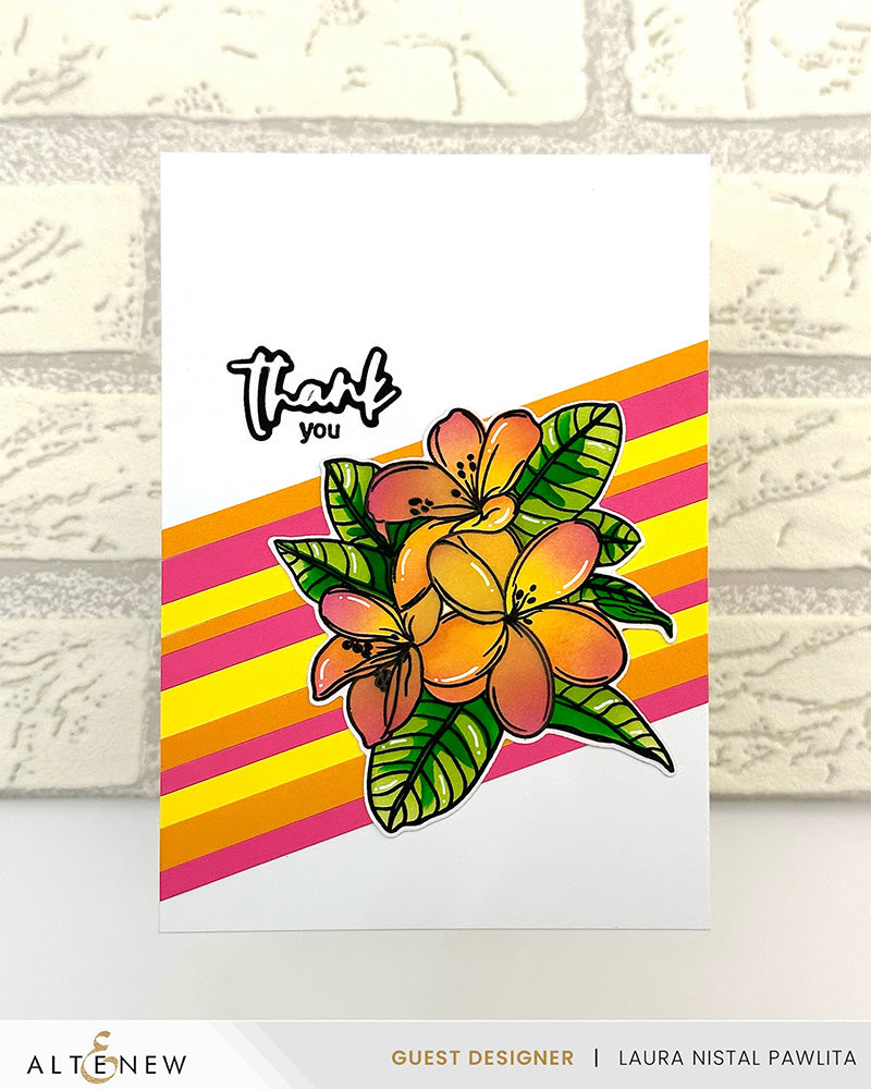 Stamp & Die & Stencil Bundle Exotic Plumerias
