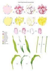 Stamp & Die & Stencil Bundle Exotic Tulips