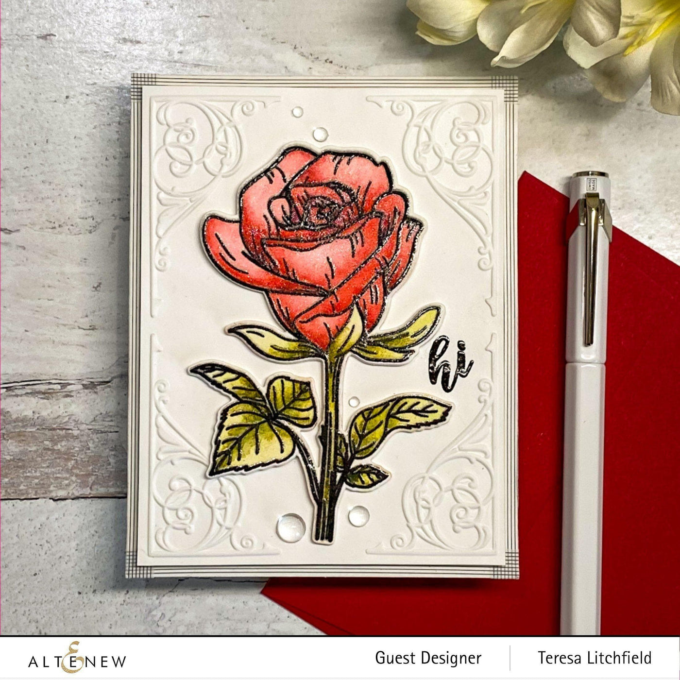 Stamp & Die & Stencil Bundle Fairy Tale Rose