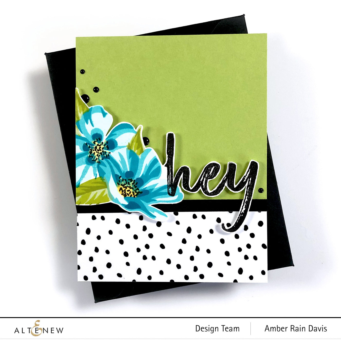 Stamp & Die & Stencil Bundle Flowering Cistus