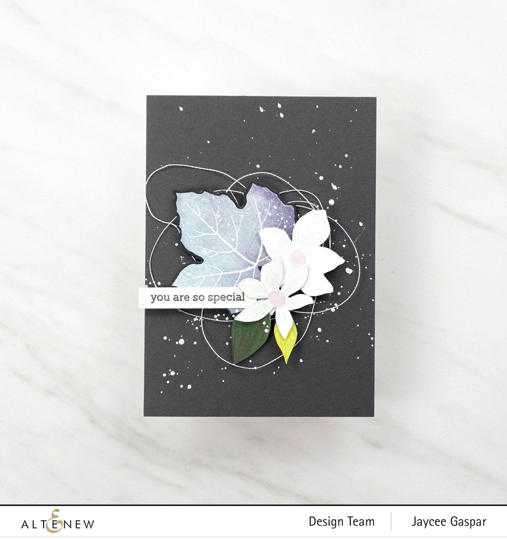 Stamp & Die & Stencil Bundle Grape Leaves