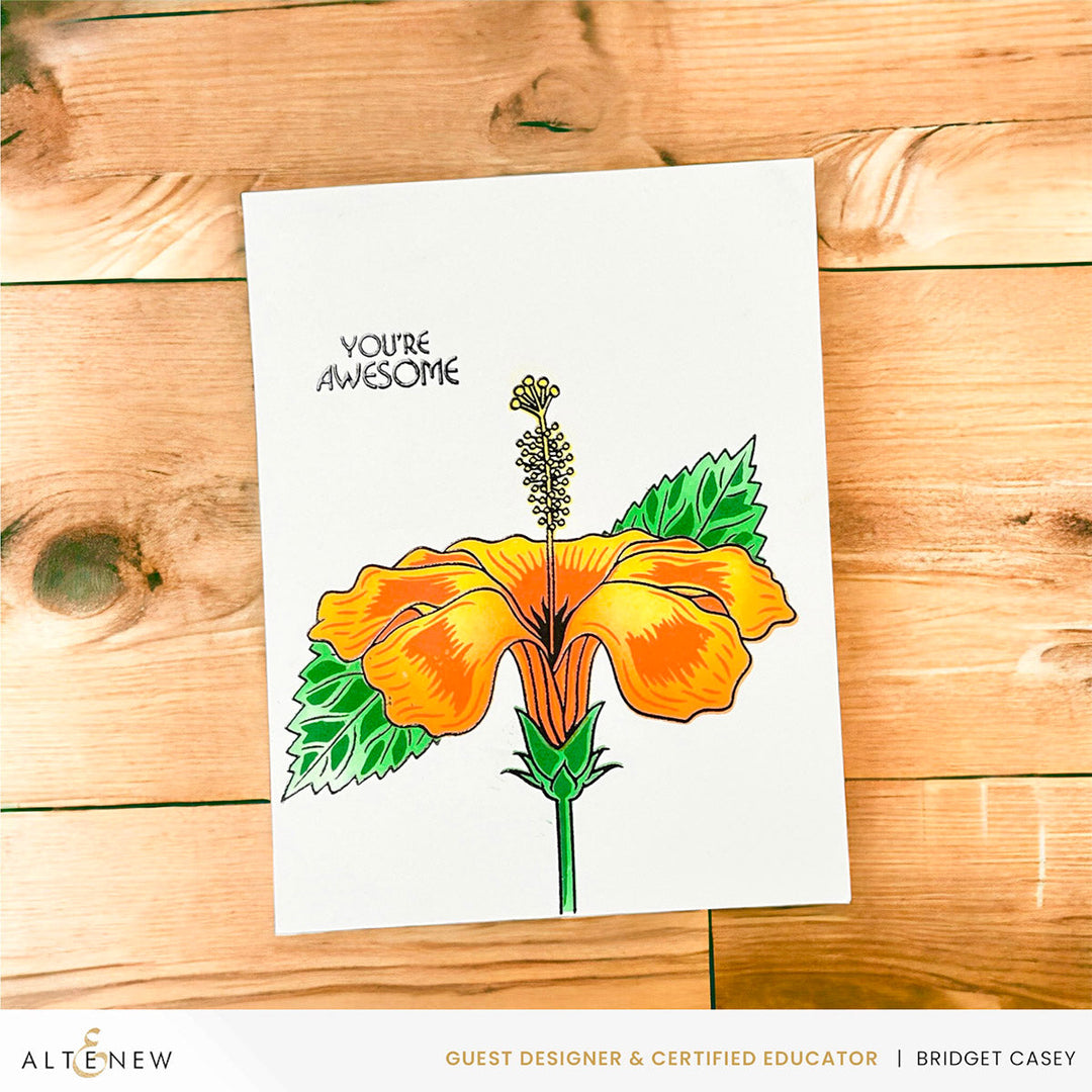 Stamp & Die & Stencil Bundle Hibiscus Motif