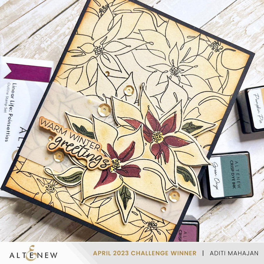 Stamp & Die & Stencil Bundle Linear Life Poinsettias