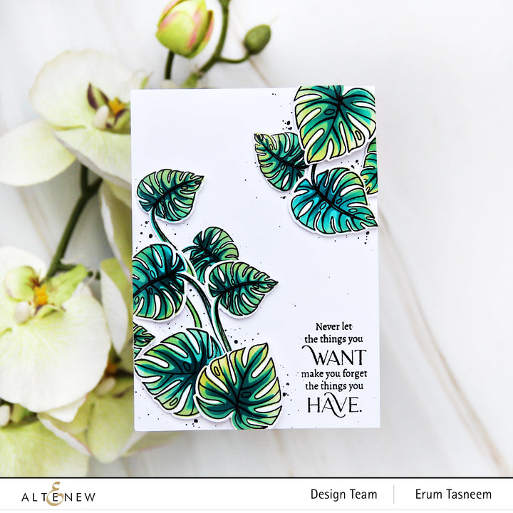 Stamp & Die & Stencil Bundle Monsteras And Quotes