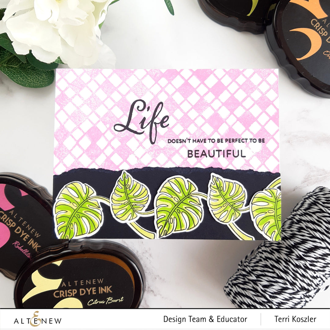 Stamp & Die & Stencil Bundle Monsteras And Quotes