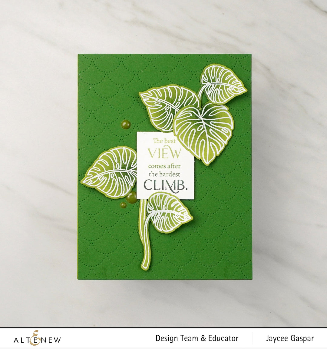 Stamp & Die & Stencil Bundle Monsteras And Quotes