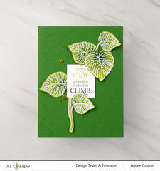 Stamp & Die & Stencil Bundle Monsteras And Quotes