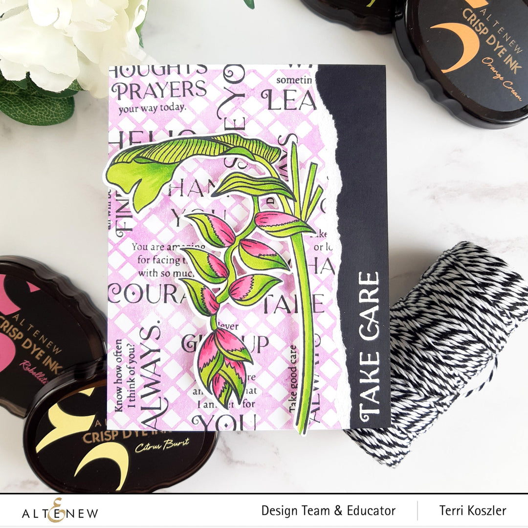 Stamp & Die & Stencil Bundle Monsteras And Quotes