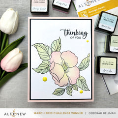 Stamp & Die & Stencil Bundle Nostalgic Florals