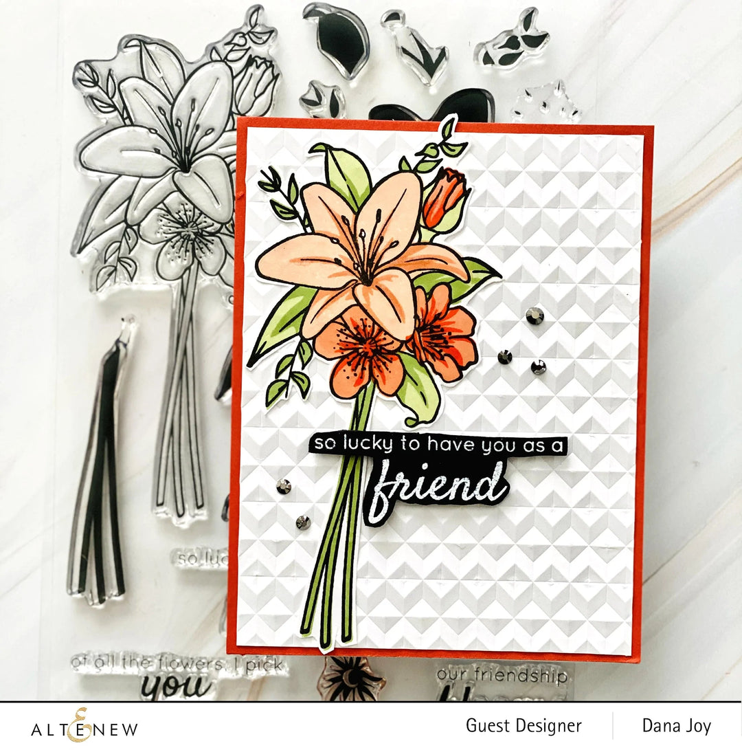 Stamp & Die & Stencil Bundle Our Friendship Blooms