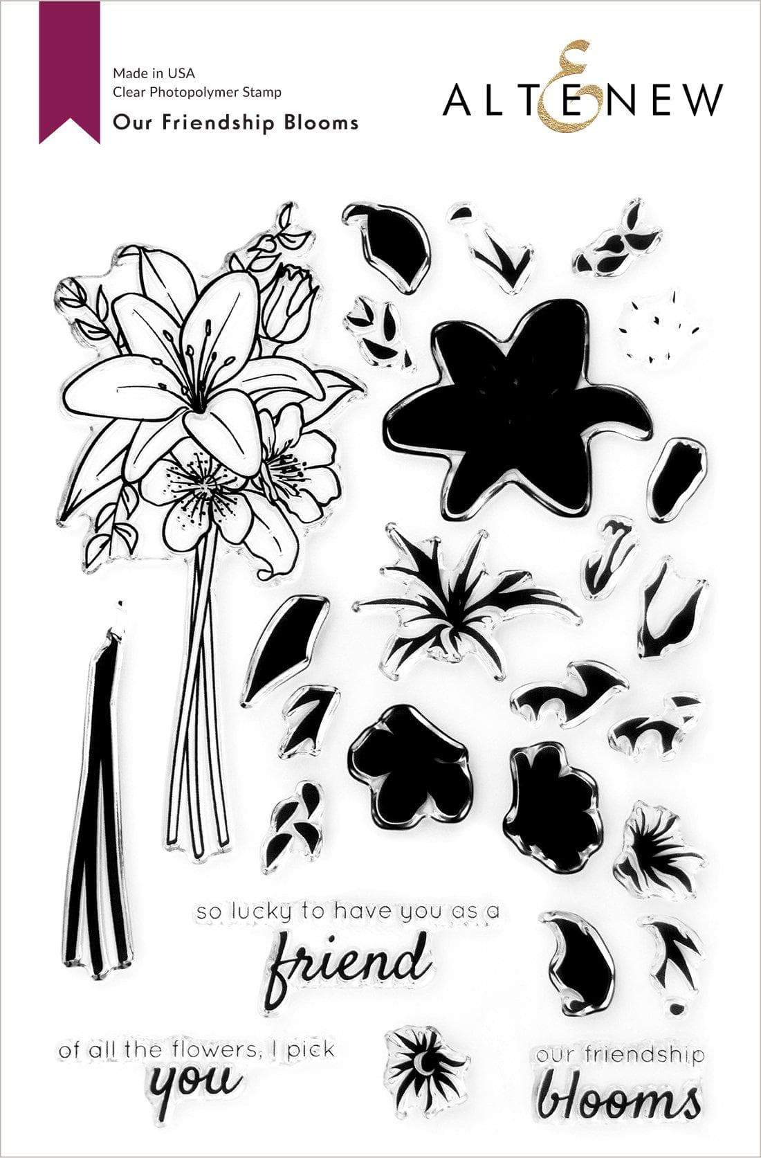 Stamp & Die & Stencil Bundle Our Friendship Blooms