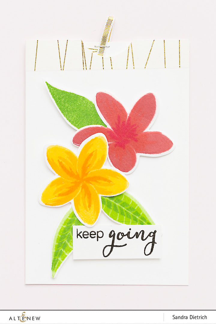 Stamp & Die & Stencil Bundle Playful Plumeria