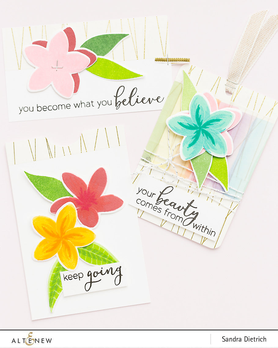 Stamp & Die & Stencil Bundle Playful Plumeria