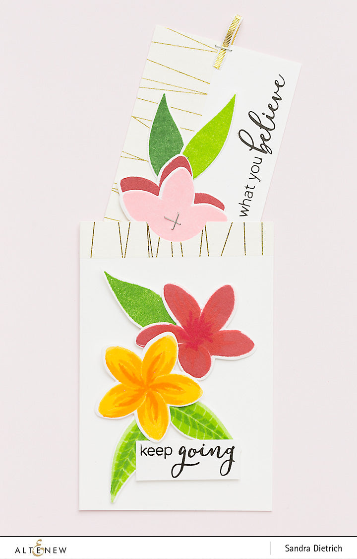 Stamp & Die & Stencil Bundle Playful Plumeria