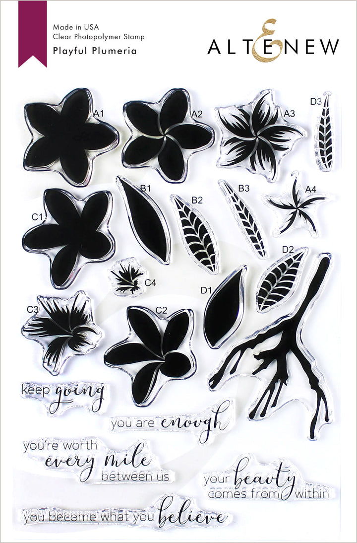 Stamp & Die & Stencil Bundle Playful Plumeria