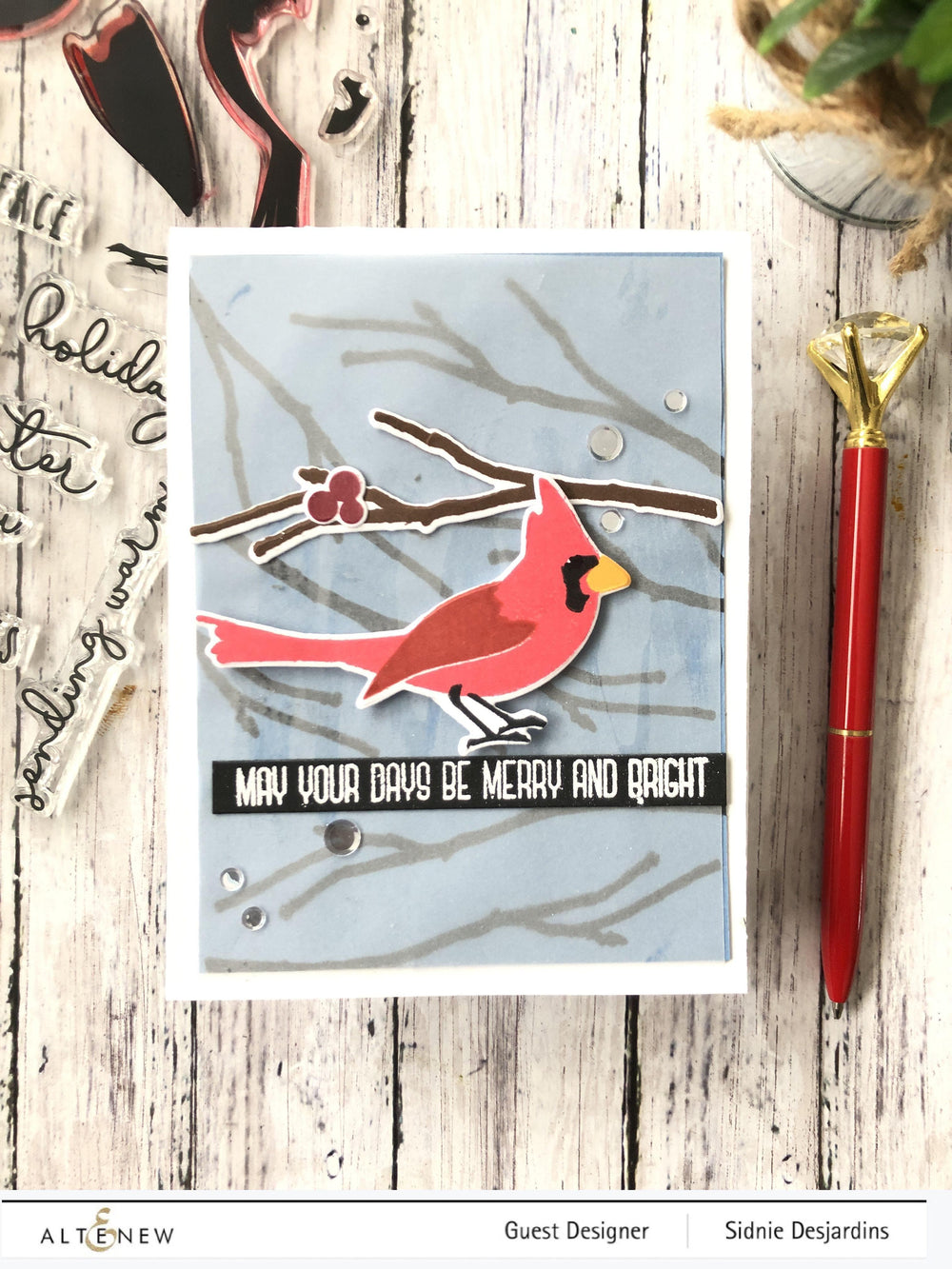 Stamp & Die & Stencil Bundle Season's Tweetings