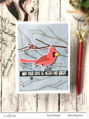 Stamp & Die & Stencil Bundle Season's Tweetings
