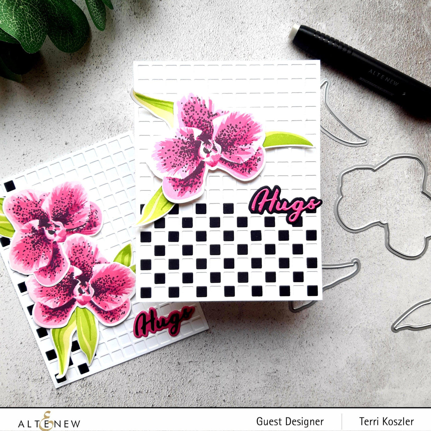 Stamp & Die & Stencil Bundle Spotted Orchid