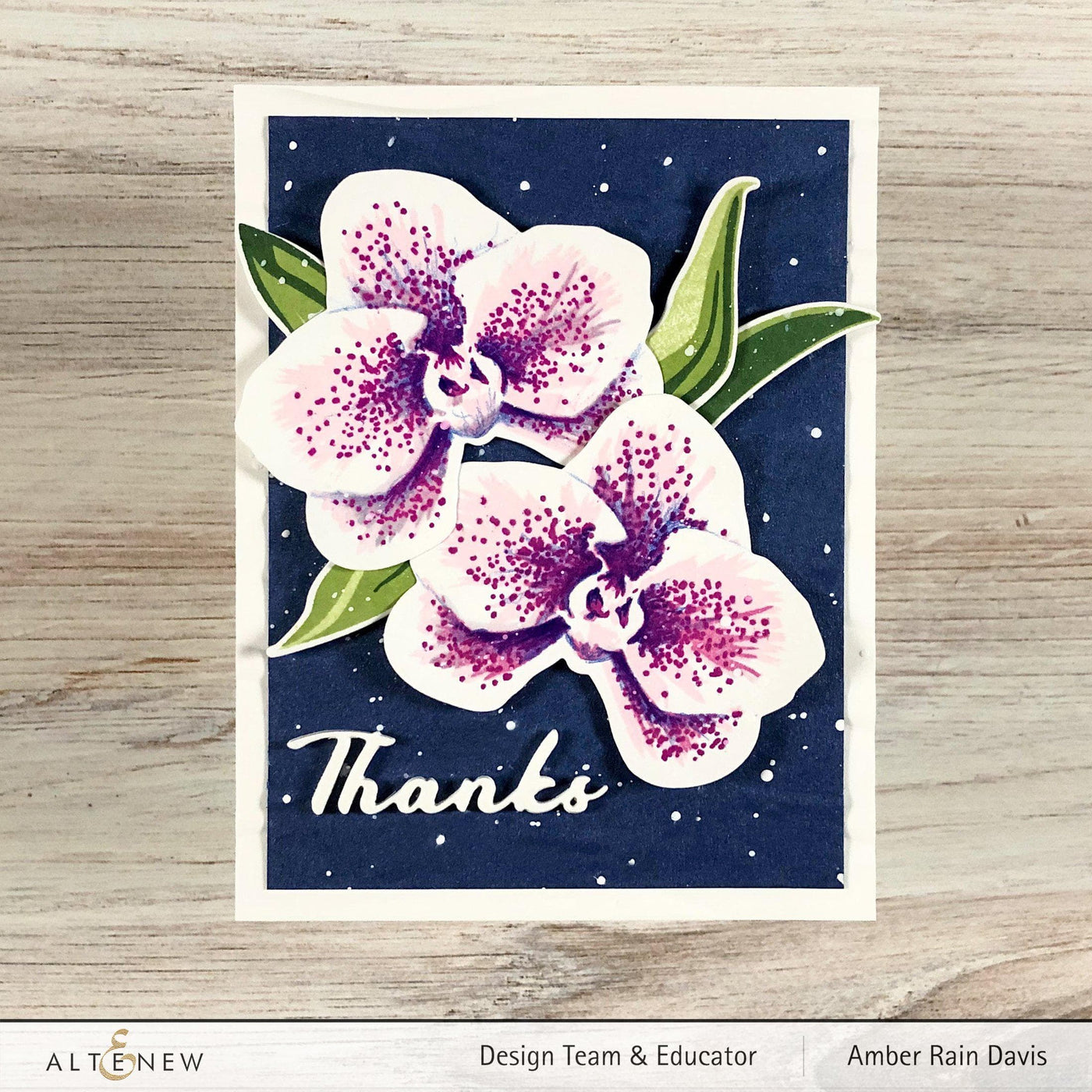 Stamp & Die & Stencil Bundle Spotted Orchid