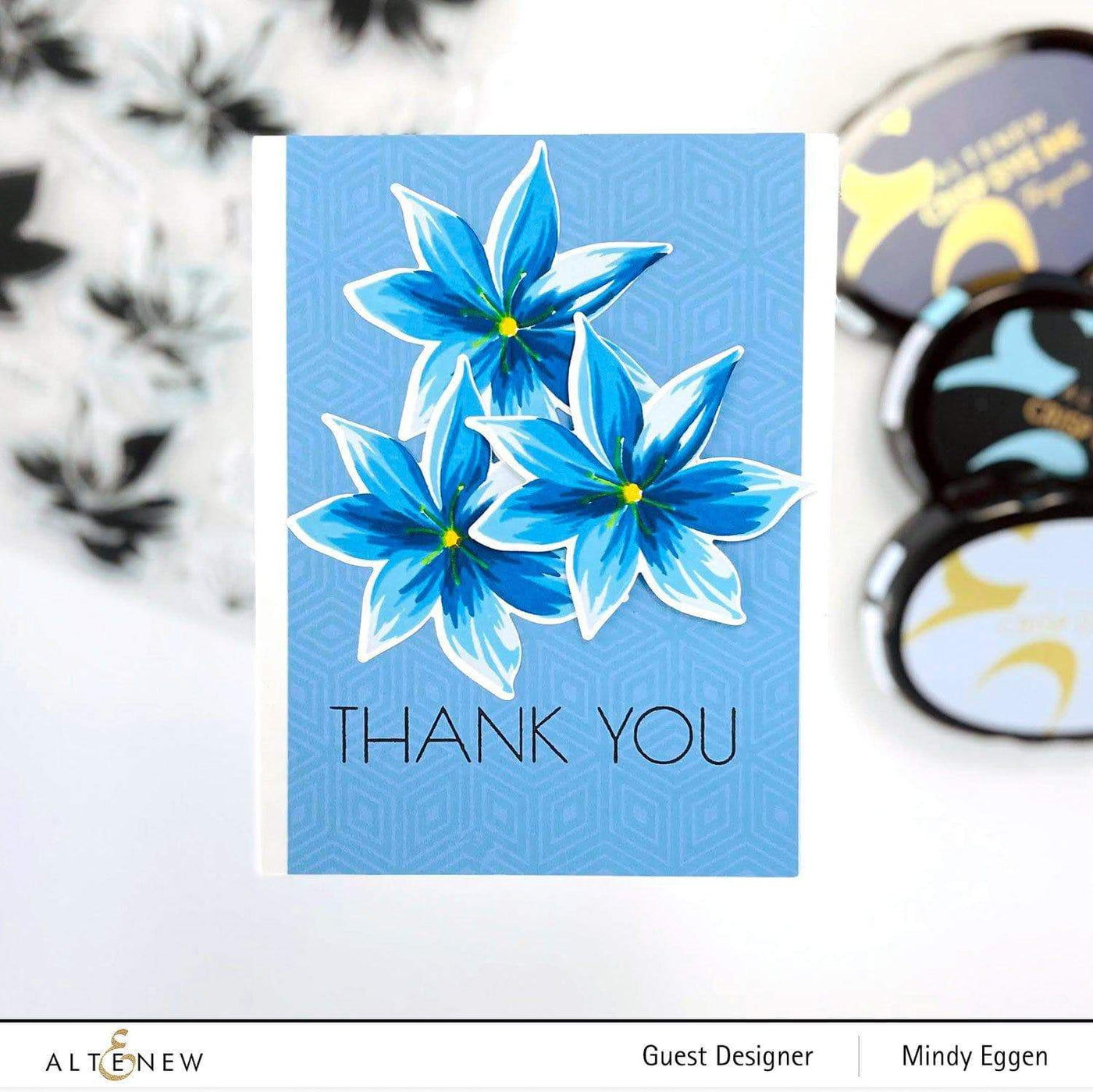 Stamp & Die & Stencil Bundle Stunning Starflowers