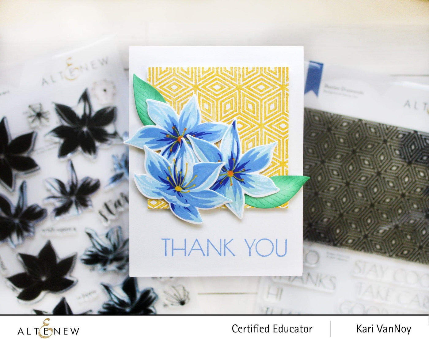 Stamp & Die & Stencil Bundle Stunning Starflowers