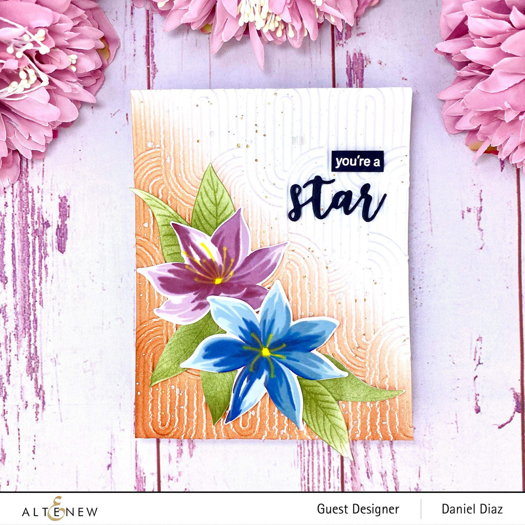Stamp & Die & Stencil Bundle Stunning Starflowers