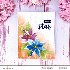 Stamp & Die & Stencil Bundle Stunning Starflowers