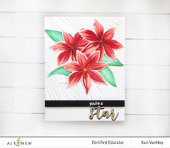 Stamp & Die & Stencil Bundle Stunning Starflowers