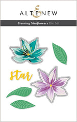 Stamp & Die & Stencil Bundle Stunning Starflowers