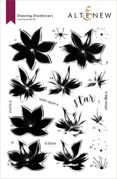 Stamp & Die & Stencil Bundle Stunning Starflowers