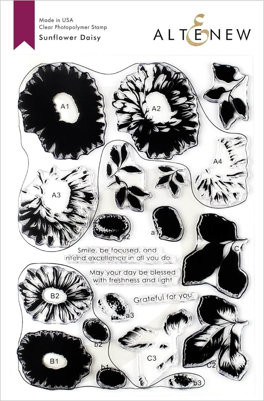 Stamp & Die & Stencil Bundle Sunflower Daisy
