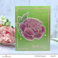 Stamp & Die & Stencil Bundle Tranquility Rose