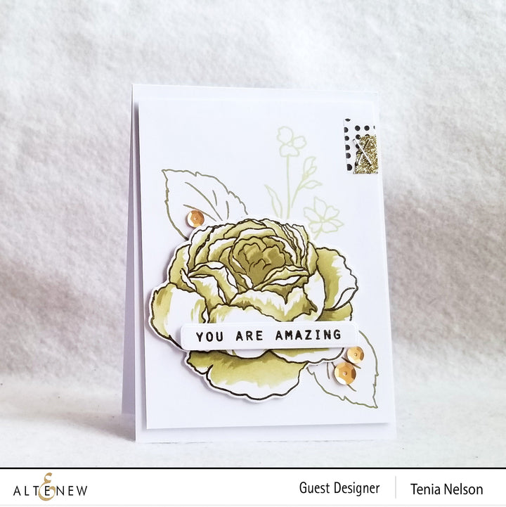 Stamp & Die & Stencil Bundle Tranquility Rose
