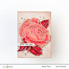 Stamp & Die & Stencil Bundle Tranquility Rose