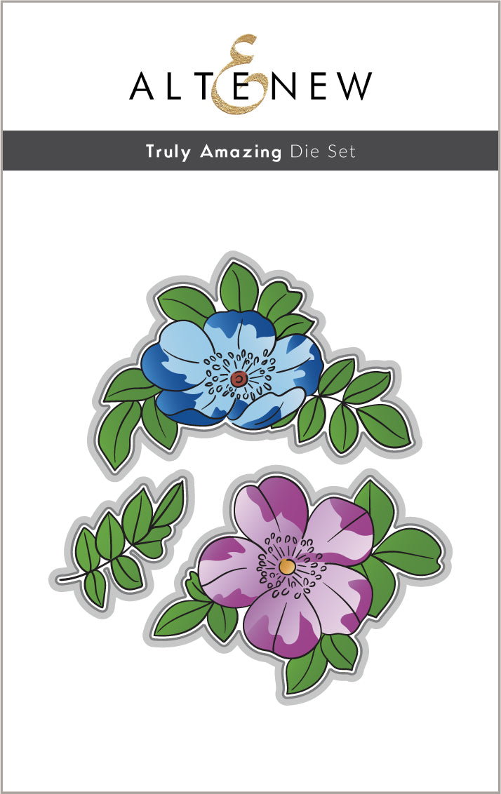 Stamp & Die & Stencil Bundle Truly Amazing