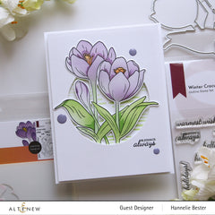 Stamp & Die & Stencil Bundle Winter Crocus