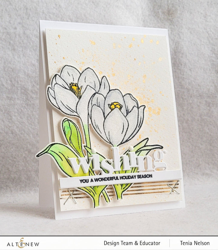 Stamp & Die & Stencil Bundle Winter Crocus