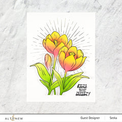 Stamp & Die & Stencil Bundle Winter Crocus