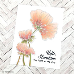Stamp & Die & Stencil Bundle Wonderland