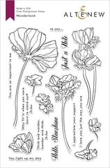 Stamp & Die & Stencil Bundle Wonderland