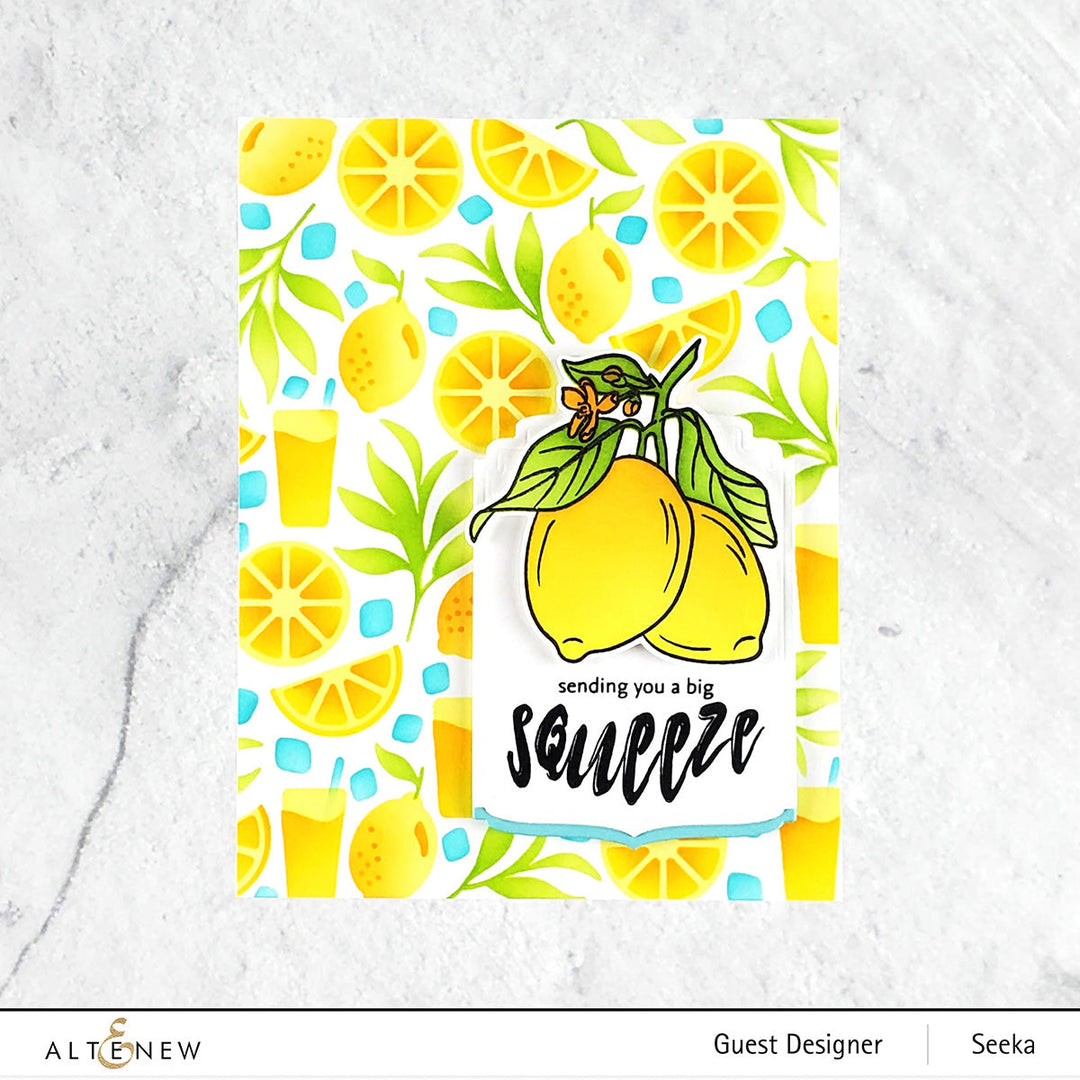 Stamp & Die & Stencil Bundle Zesty Life