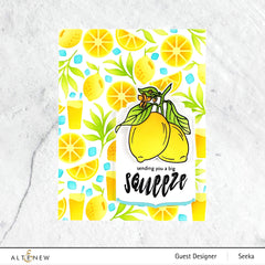 Stamp & Die & Stencil Bundle Zesty Life